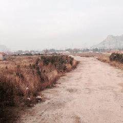 青島市卓越房地產開發公司地址在哪?青島卓越房地產開發地址,卓越房地產開發聯系地址、商鋪網址地址