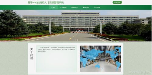 java vue計算機畢設基于web的高校人才資源管理系統