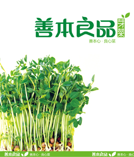知行天下品牌策劃,青島品牌策劃,青島品牌設計,青島包裝設計,青島食品包裝設計,青島食品策劃,青島VI設計,青島標志設計,青島畫冊設計,青島網站設計,青島網頁設計,青島宣傳片,青島廣告片